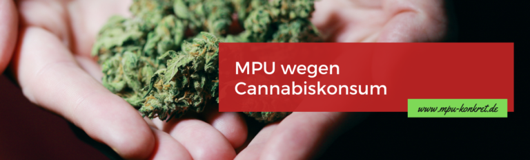 MPU Cannabis Drogen - MPU Vorbereitung online - MPU Fragen und Antworten