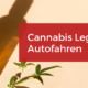 Cannabis Legalisierung Autofahren Führerschein MPU